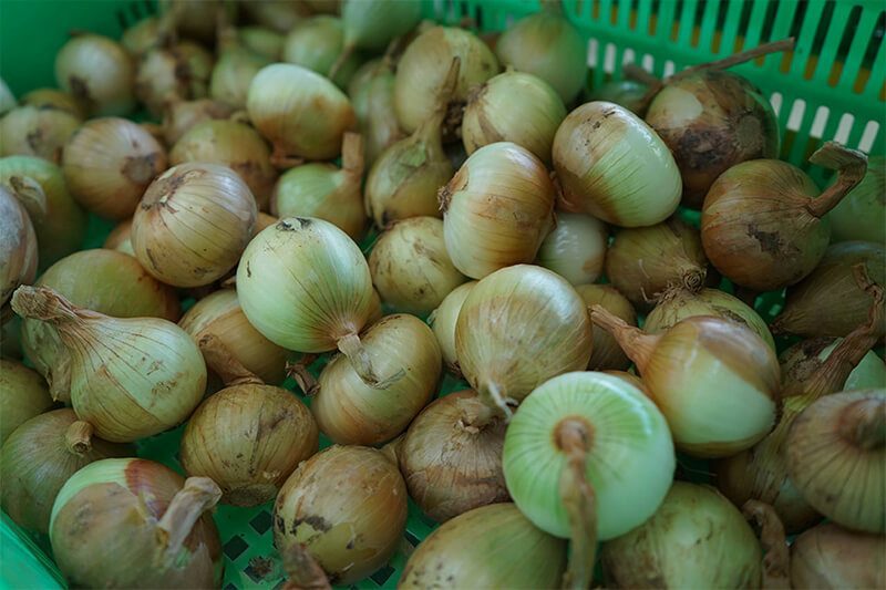 Có nhiều loại trái cây nhập khẩu được bày bán ở Bách Hóa Xanh đều được công bố thực phẩm nhập khẩu.