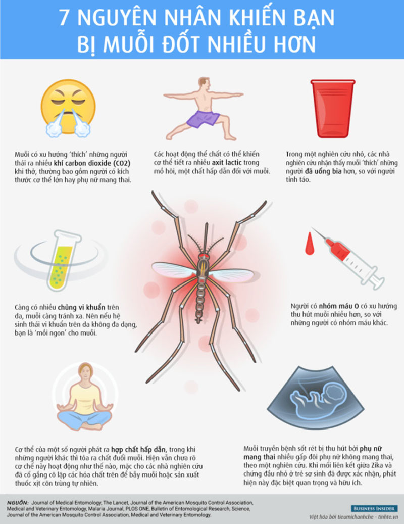 Thuốc xịt diệt muỗi là gì