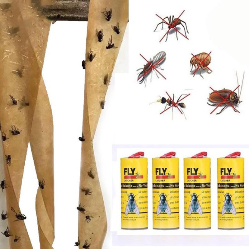 Mẹo diệt ruồi hiệu quả tại nhà bằng keo dính ruồi