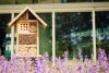 40 cây trồng đuổi muỗi côn trùng trong nhà hiệu quả mùi thơm dễ chịu