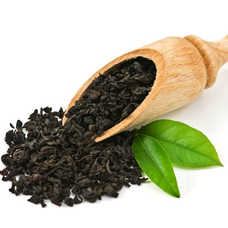 Cách dùng bã trà đã qua sử dụng để đuổi muỗi an toàn