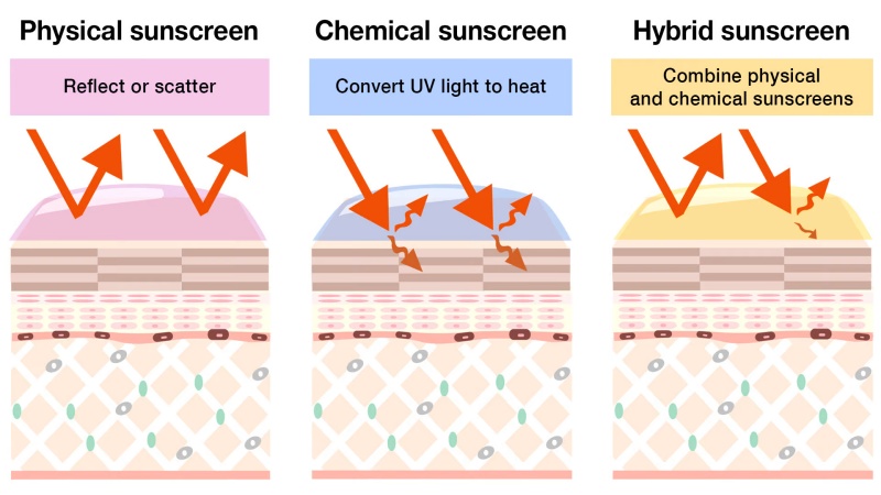 cách chọn kem chống nắng cho từng loại da