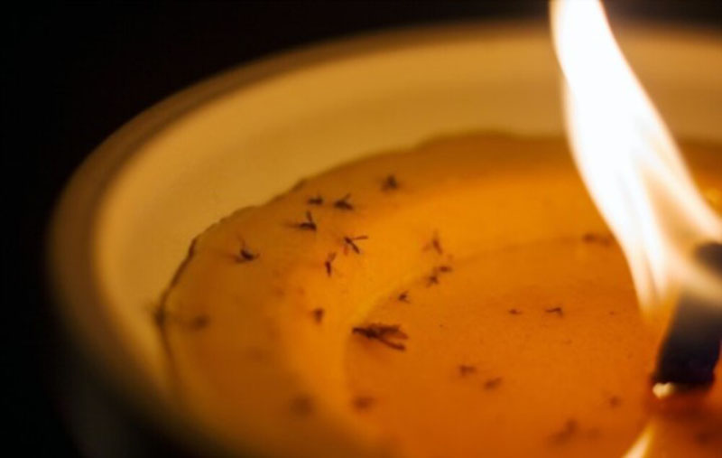 Tại sao nên dùng đèn tinh dầu đuổi muỗi