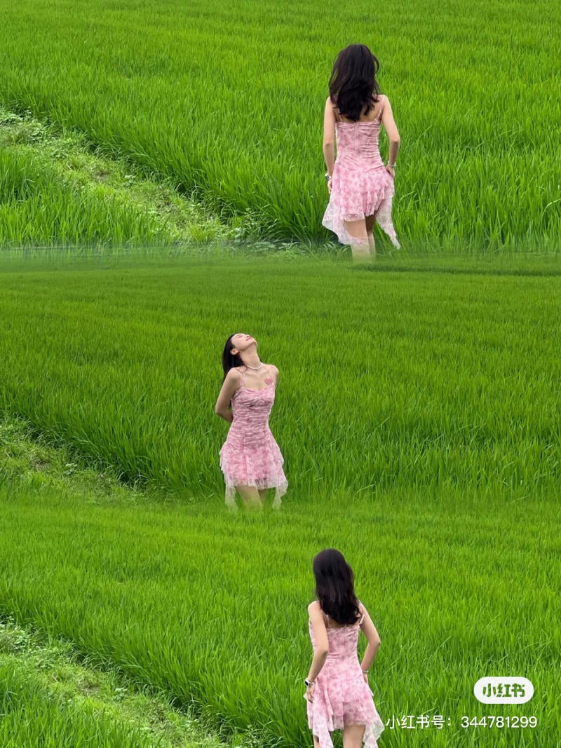 mặc váy dáng ngắn chụp ảnh ở cánh đồng lúa