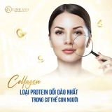 Top 12 viên uống Collagen trị nám tàn nhang tốt & hiệu quả nhất 2024