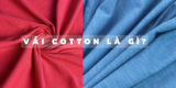 Vải cotton là gì? Tất cả những điều bạn cần biết về cotton