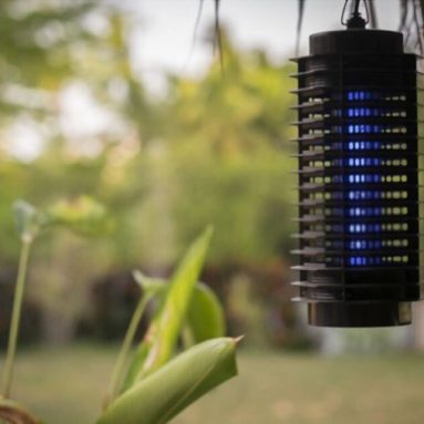 Đèn bắt muỗi có tốt không? Có nên sử dụng đèn bắt muỗi sân vườn?