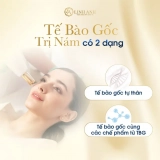 Tế bào gốc trị nám là gì? Các loại tế bào gốc tốt nhất 2024